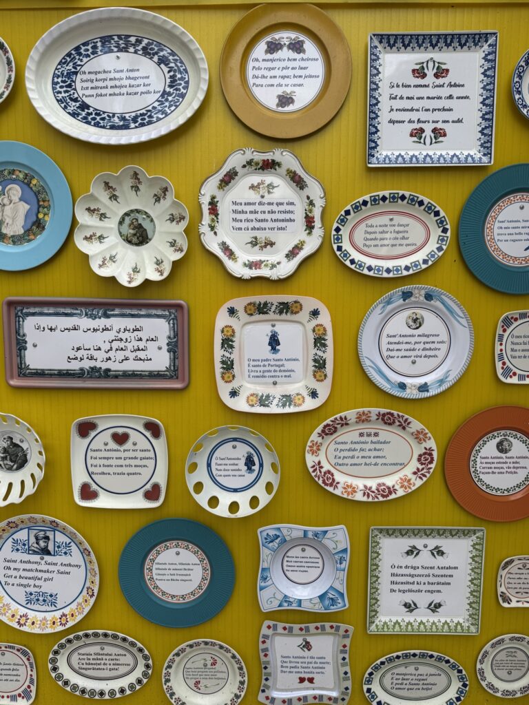 This image has an empty alt attribute; its file name is img_5580-768x1024.jpg